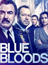 警察世家 第十一季封面图