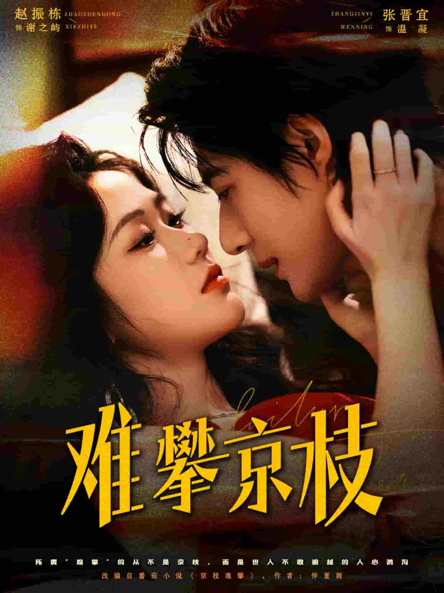 难攀京枝封面图