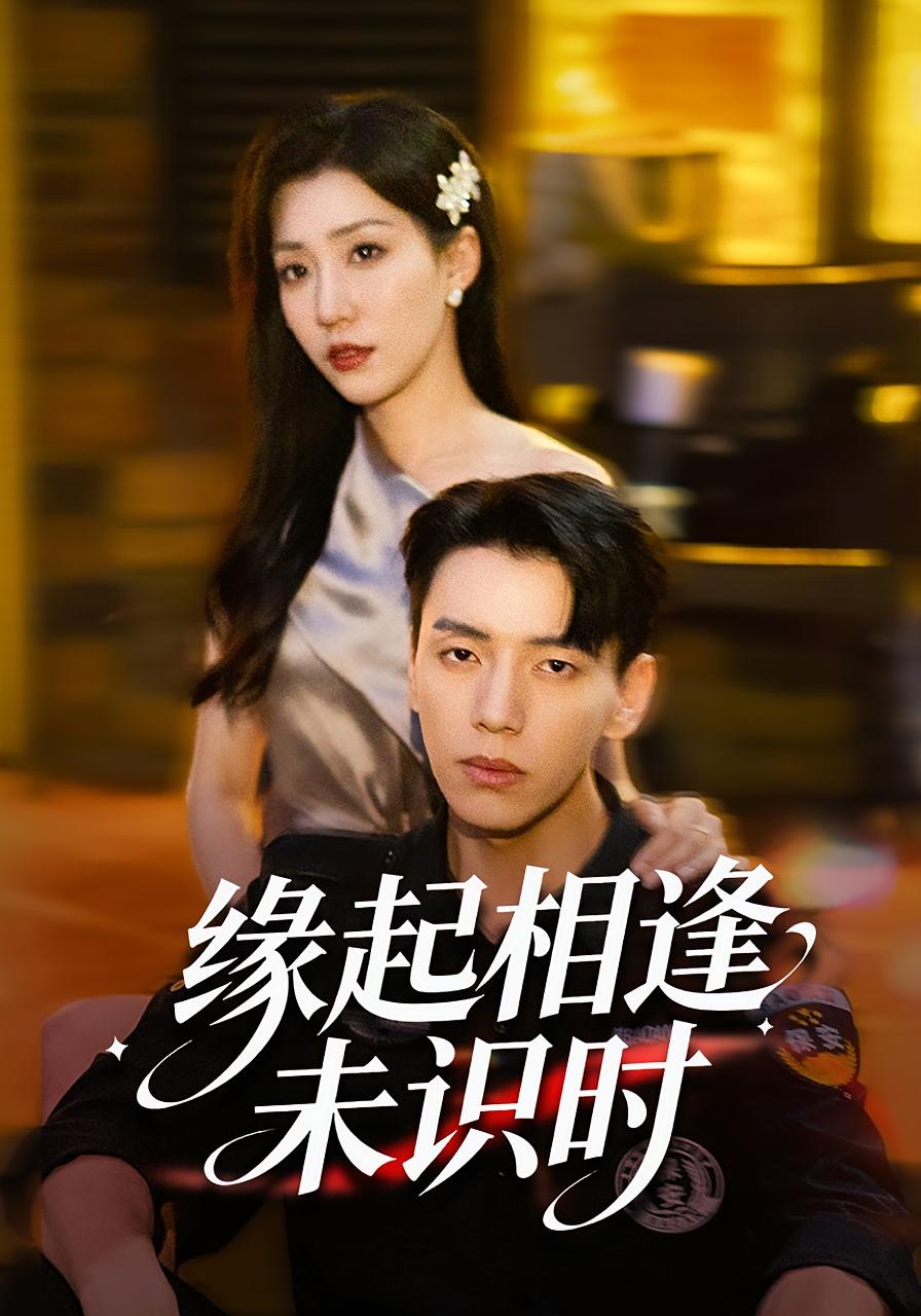 缘起相逢未识时封面图