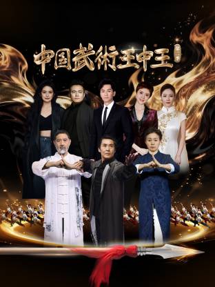 中国武术王中王第二季封面图
