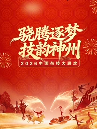 河南卫视2026中国杂技大联欢封面图